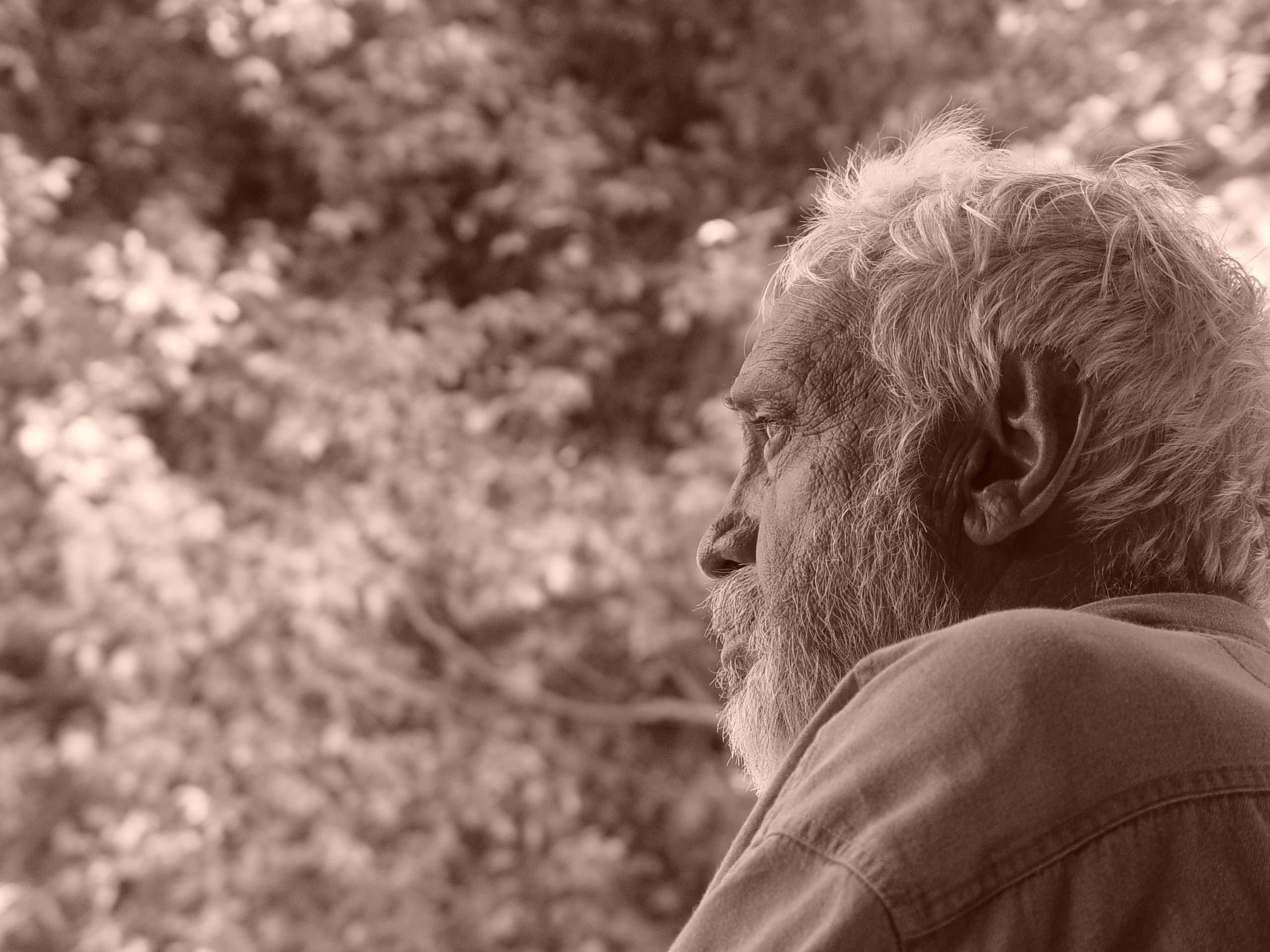 Dr. Jesús Estudillo López