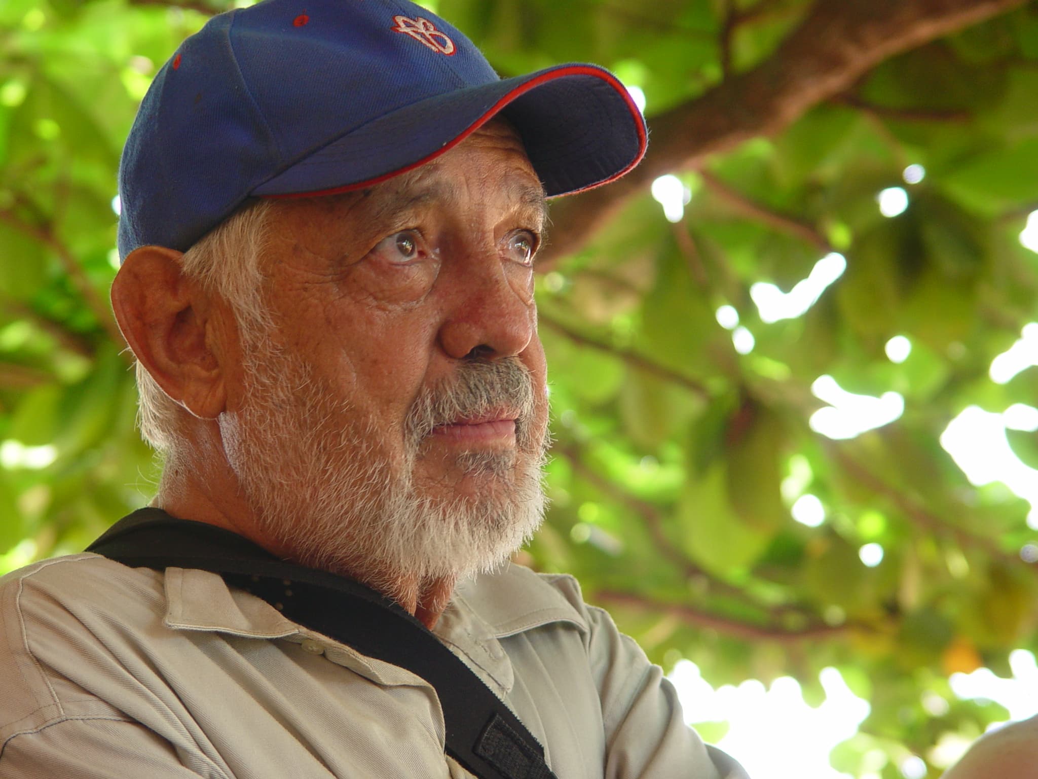 Contemplando la vida que ayudó a proteger