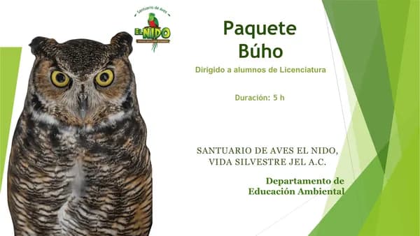Paquete Búho