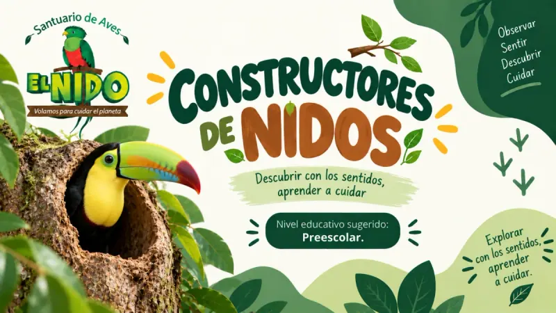 Constructores de Nidos