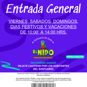 Entrada general