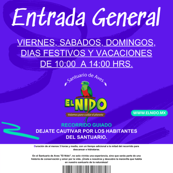 Entrada general